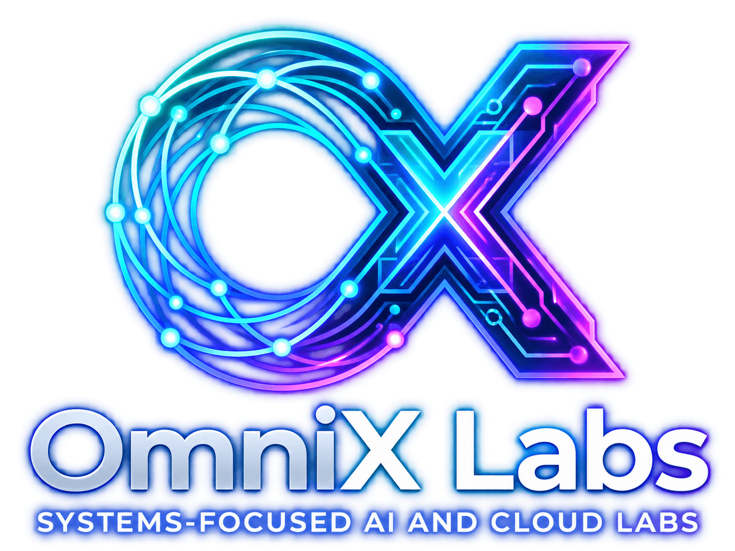 OmniXperience Labs